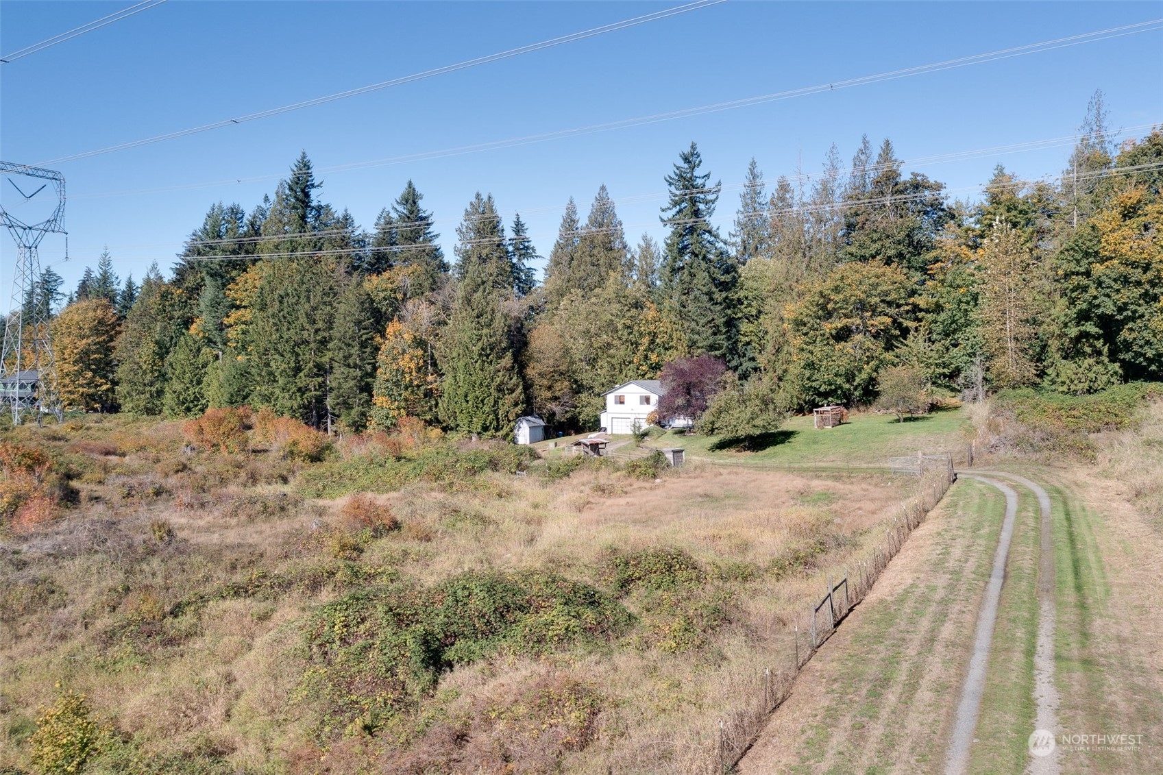 10021 Wagner Road Snohomish, WA 98290 - Photo 24 of 28 a view of a dry yard with trees