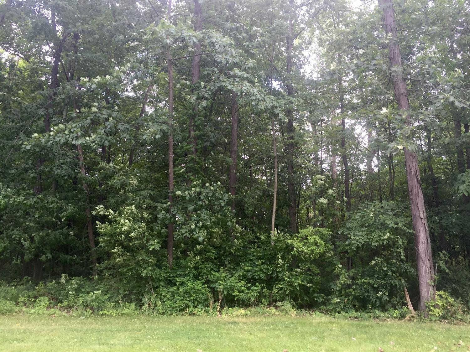 2500 Oakley Road Stockbridge, MI 49285 - Photo 10 of 10 Photo 10