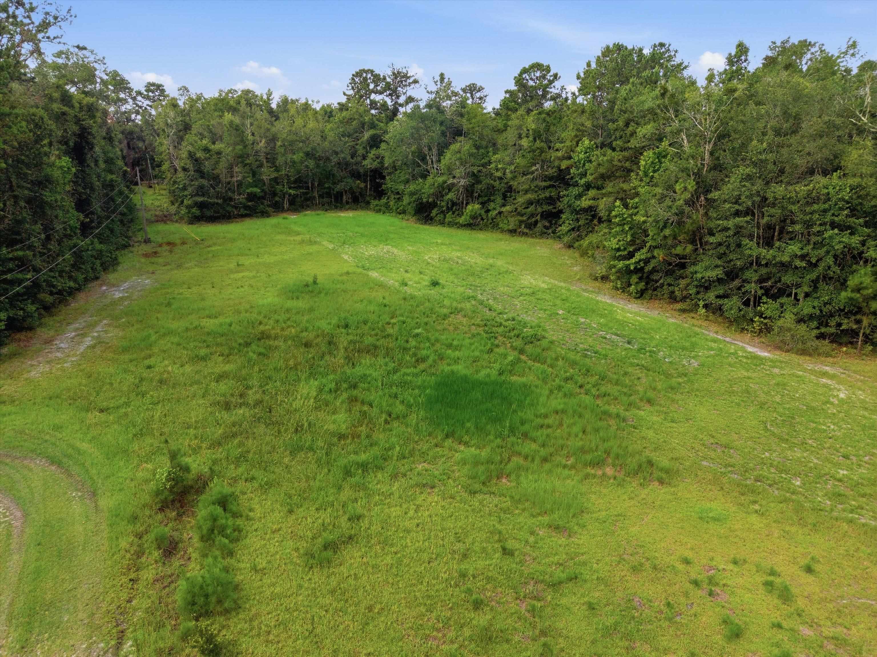 Xxx Neely Road Monticello, FL 32344 - Photo 6 of 37