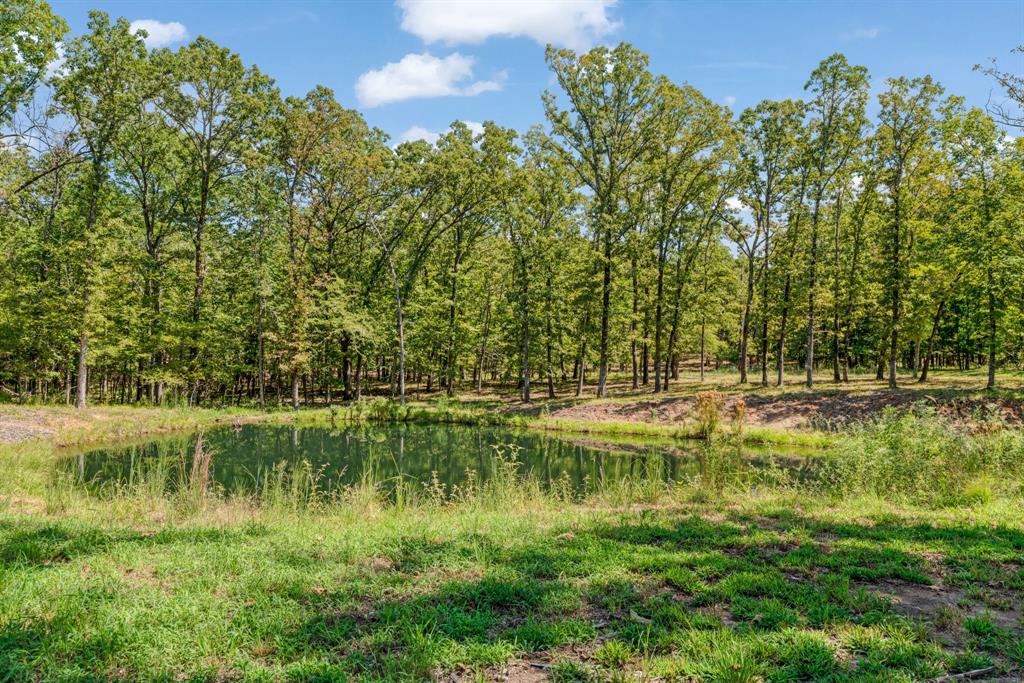 545 County Road Paris, TX 75462 - Photo 32 of 40 a view of a lake view