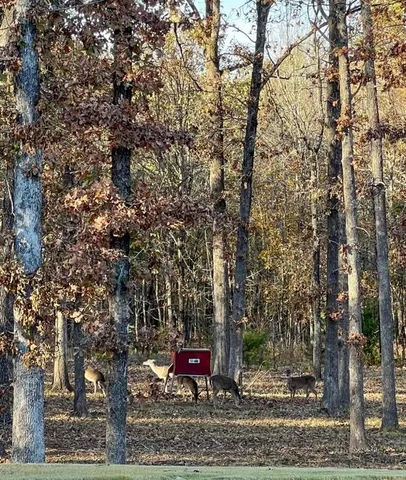 a view of a outdoor space