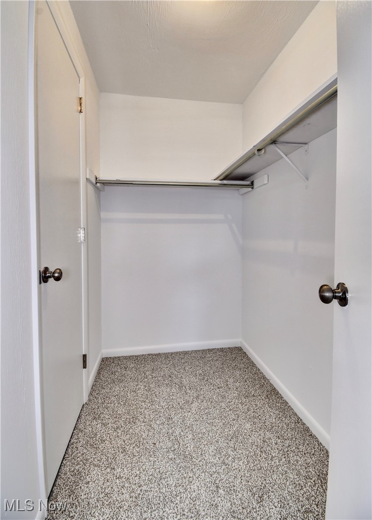 494 Moore Road Akron, OH 44319 - Photo 15 of 30 Spacious closet featuring carpet floors
