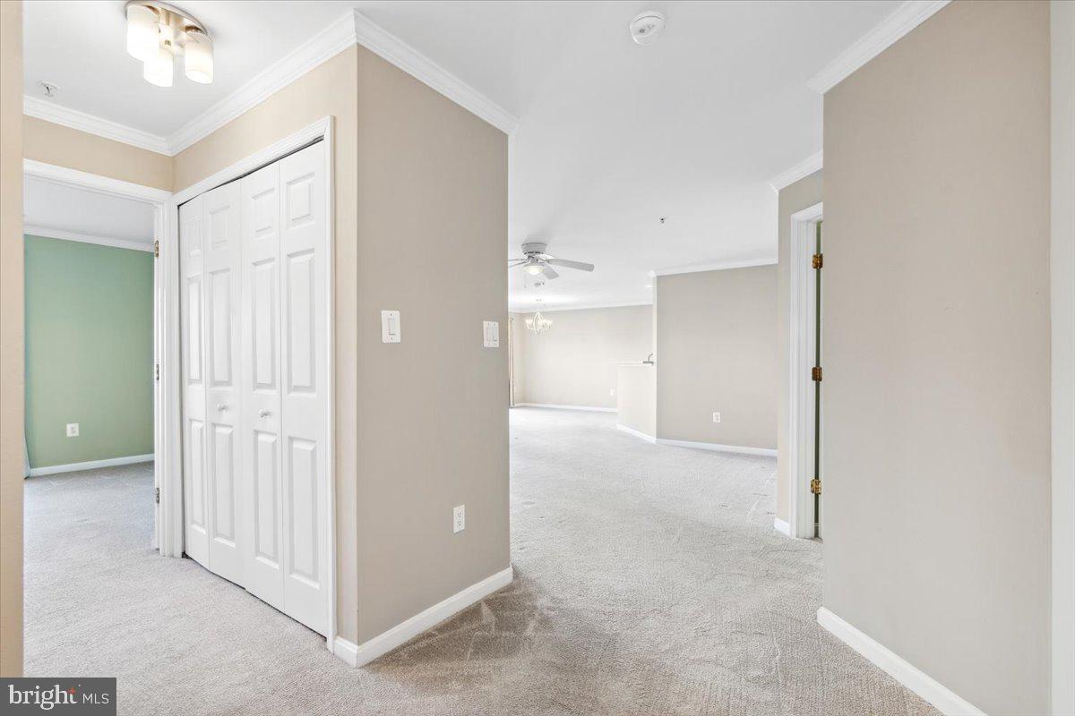 599 Cawley Drive, Unit 2A Frederick, MD 21703 - Photo 22 of 32 an empty room with cabinet and mirrors