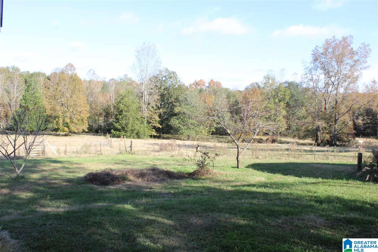 853 Bailey Road Cragford, AL 36255 - Photo 16 of 39