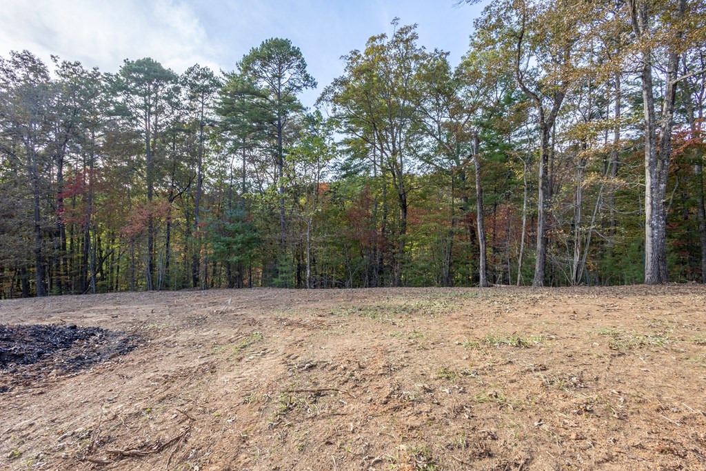 300 Springbrook Lane Murphy, NC 28906 - Photo 32 of 39 Gallery Image 32