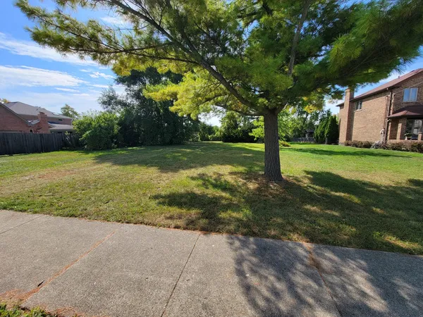 a view of a field with a tree
