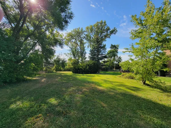 a view of a field of grass and trees