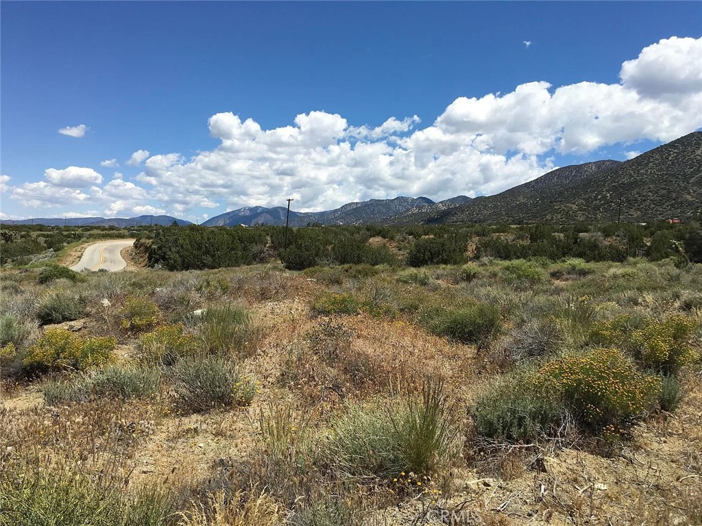 0 Tenterdon Street Littlerock, CA 93543 - Photo 2 of 4 a view of a lake in middle of forest