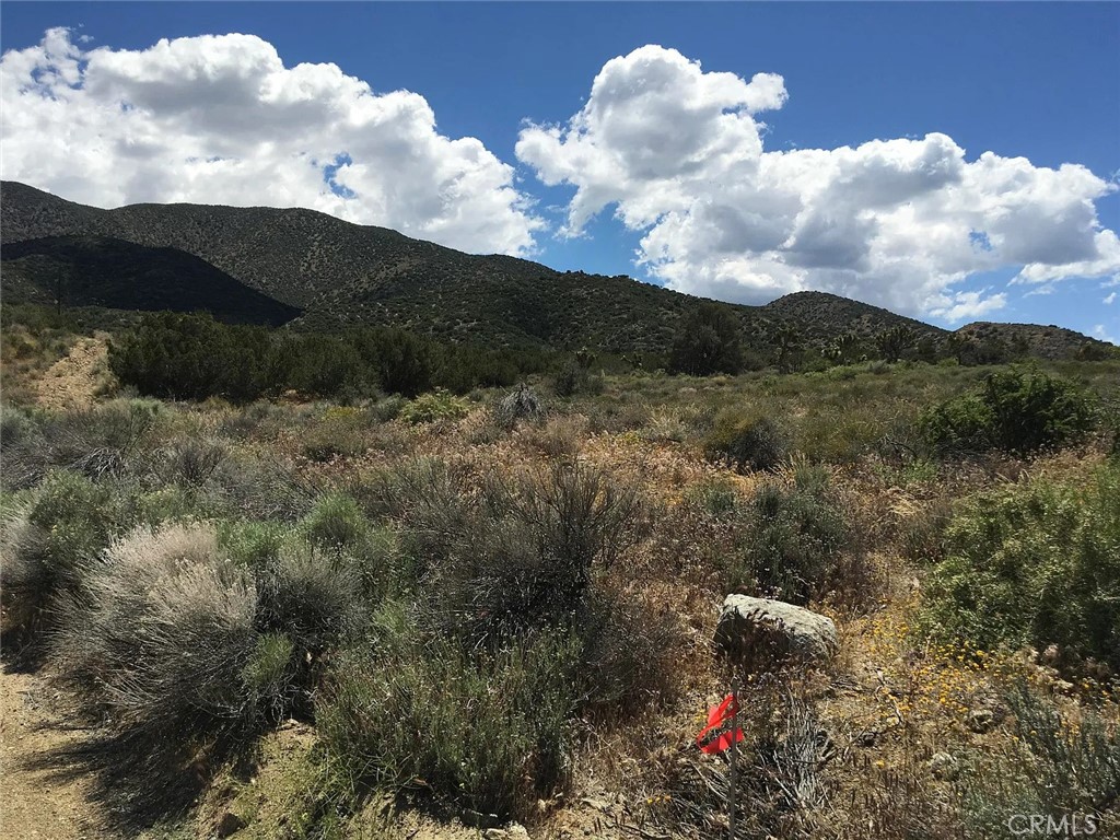 0 Tenterdon Street Littlerock, CA 93543 - Photo 3 of 4 a view of a sky