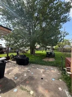 a view of a garden with plants and trees