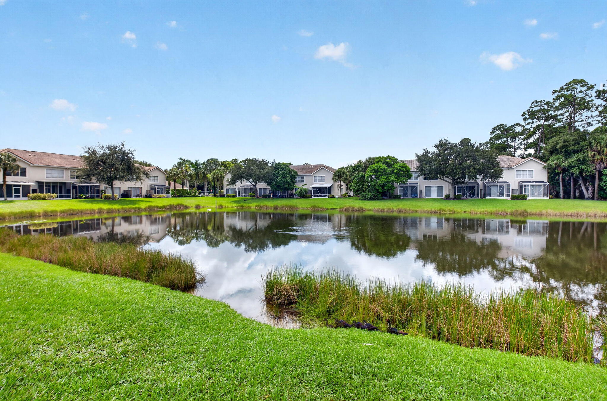 1074 Woodfield Road Greenacres, FL 33415 - Photo 46 of 58 47-web-or-mls-DSC_3455