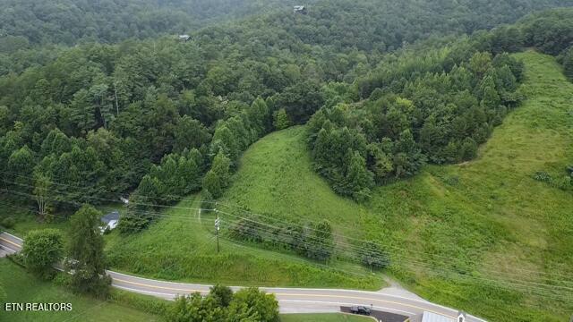 60-acres Wears Valley Road Sevierville, TN 37862 - Photo 3 of 6 2025-08-01-10-01-29-298