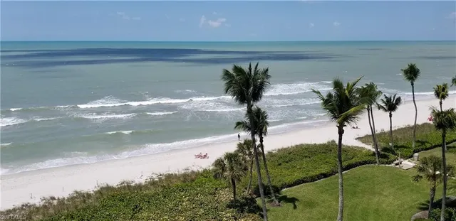 a close up of a flower in a garden