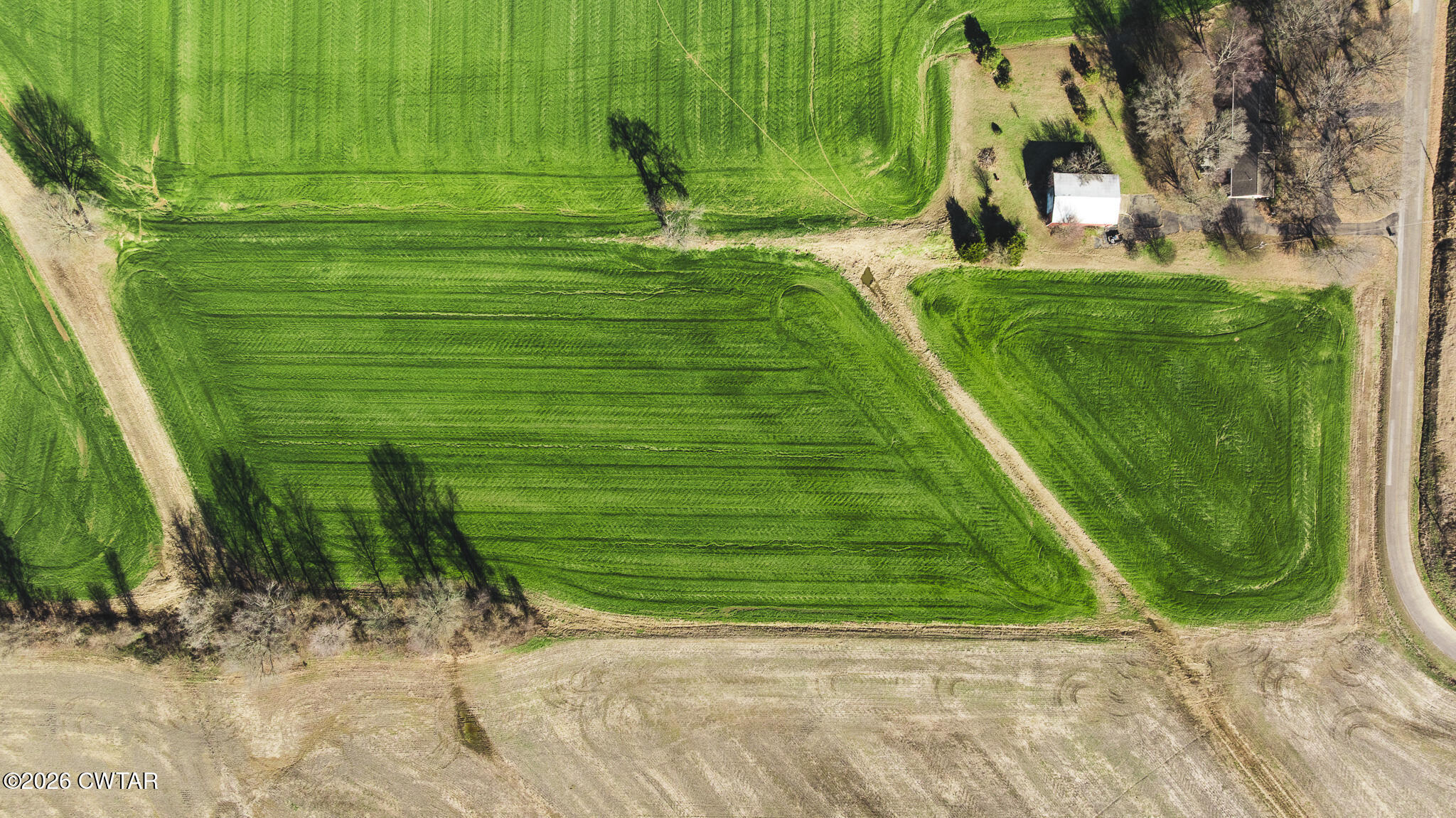 7-12 Sunny Hill Road Bells, TN 38006 - Photo 15 of 30 a view of a garden