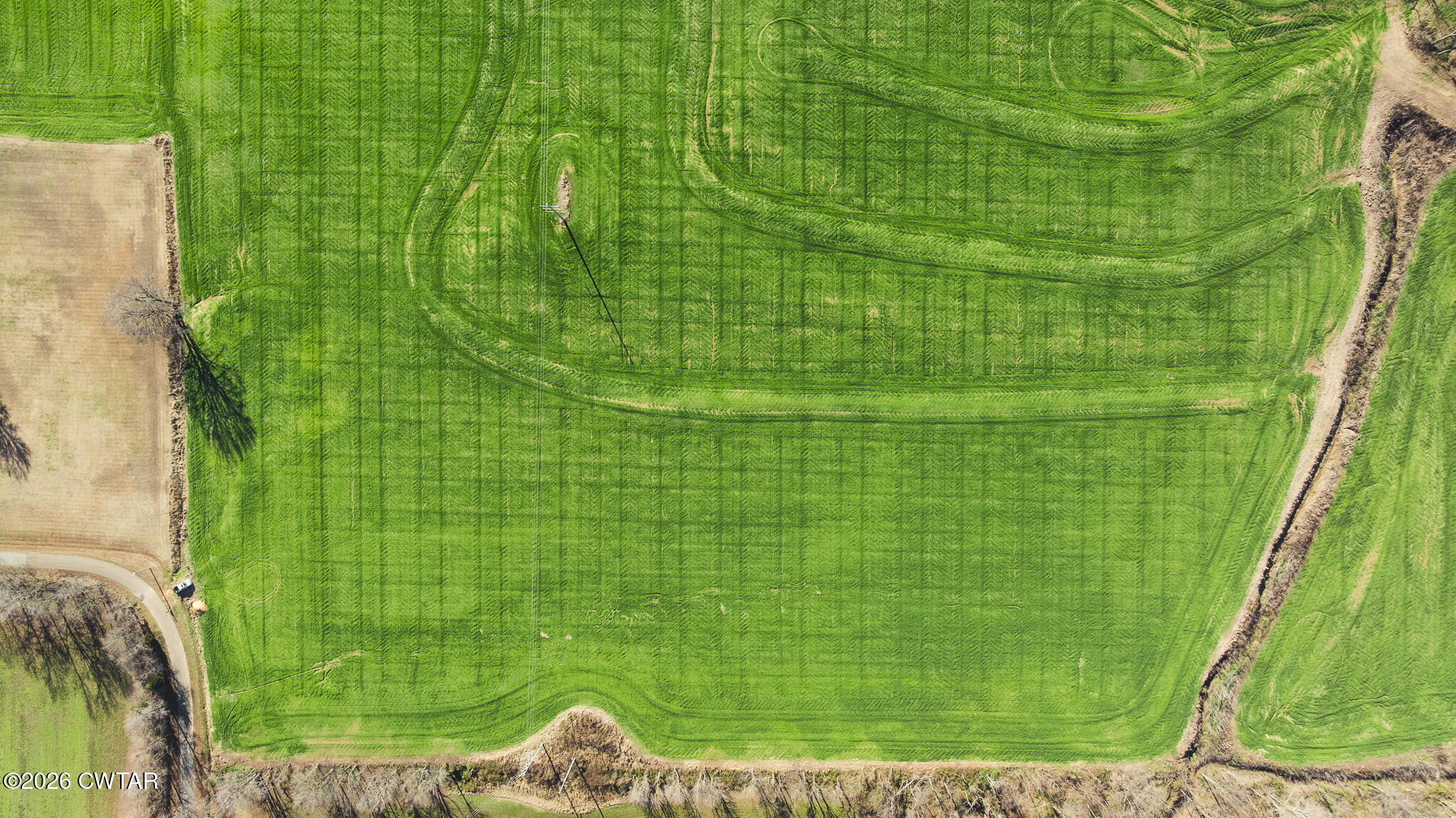 7-12 Sunny Hill Road Bells, TN 38006 - Photo 18 of 30 a view of a garden
