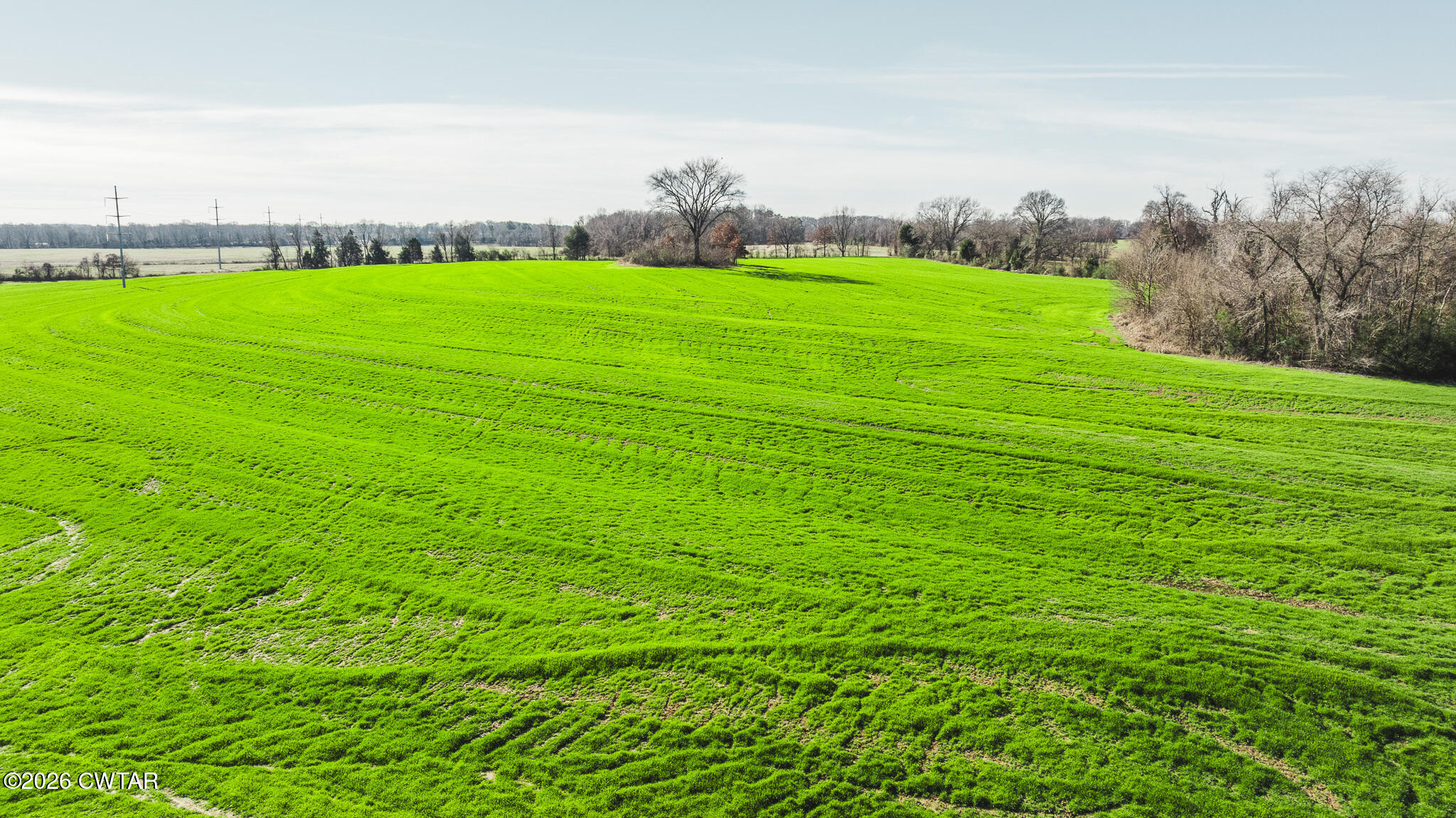 7-12 Sunny Hill Road Bells, TN 38006 - Photo 21 of 30 a view of a field with plants and large trees