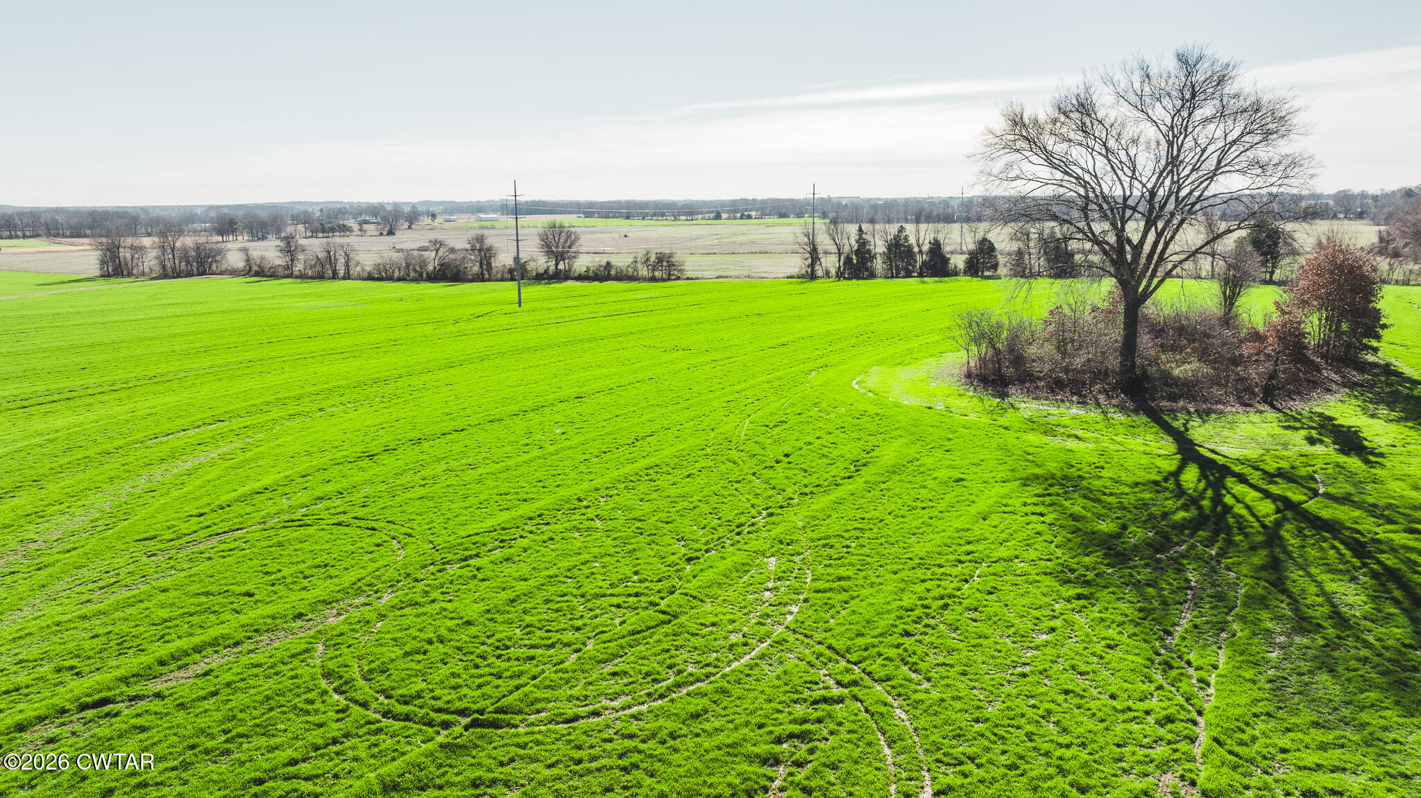 7-12 Sunny Hill Road Bells, TN 38006 - Photo 22 of 30 a view of a garden with a building in the background