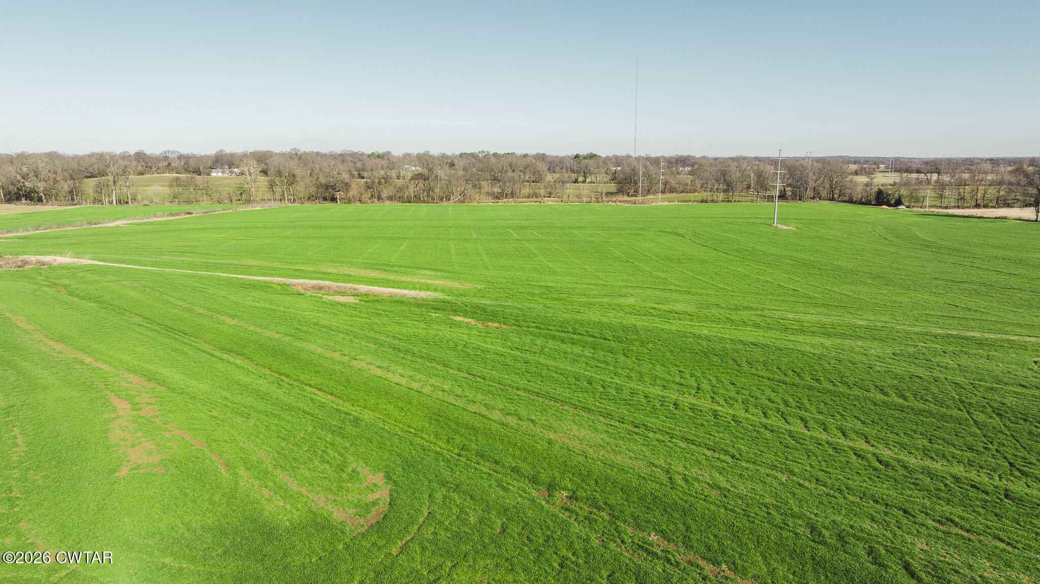 7-12 Sunny Hill Road Bells, TN 38006 - Photo 23 of 30 a view of a grassy field with an trees
