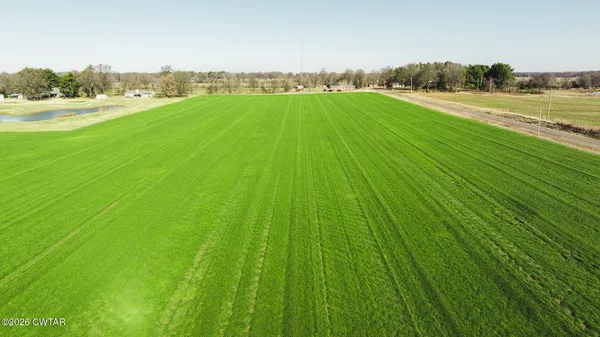 a view of a field with an ocean