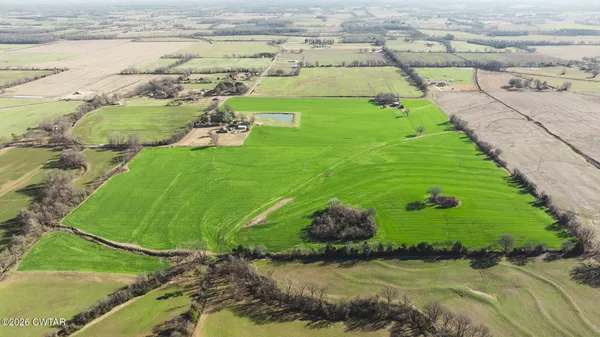 a view of a lush green field