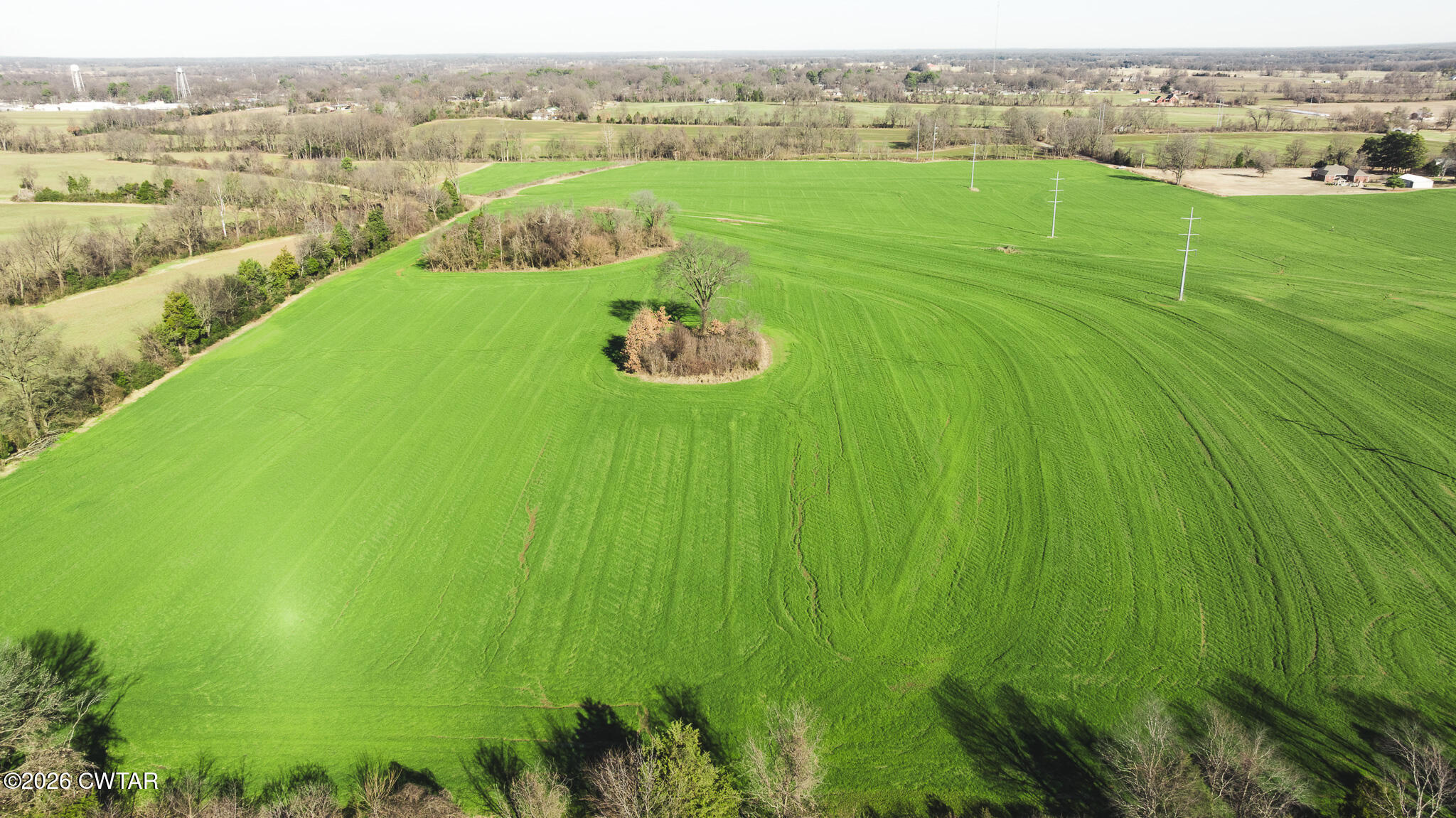 7-12 Sunny Hill Road Bells, TN 38006 - Photo 7 of 30 a view of a lush green field
