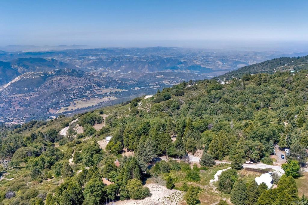22223 Crestline Road Palomar Mountain, CA 92060 - Photo 86 of 90 a view of a large yard with lots of bushes