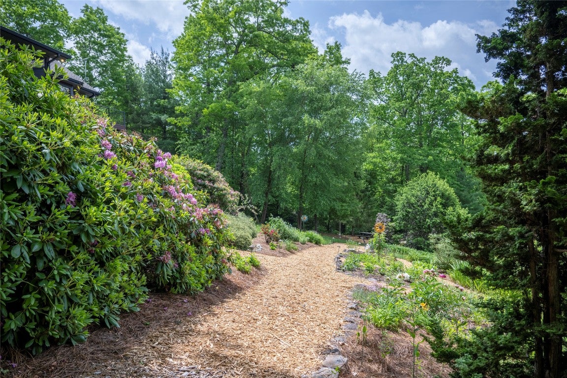 550 Silly Ridge Road Scaly Mountain, NC 28775 - Photo 82 of 100 Gallery Image 82