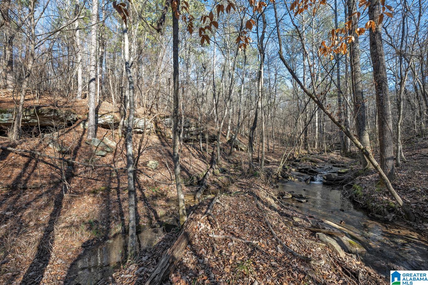 500 Lazy Y Road Hayden, AL 35079 - Photo 32 of 35