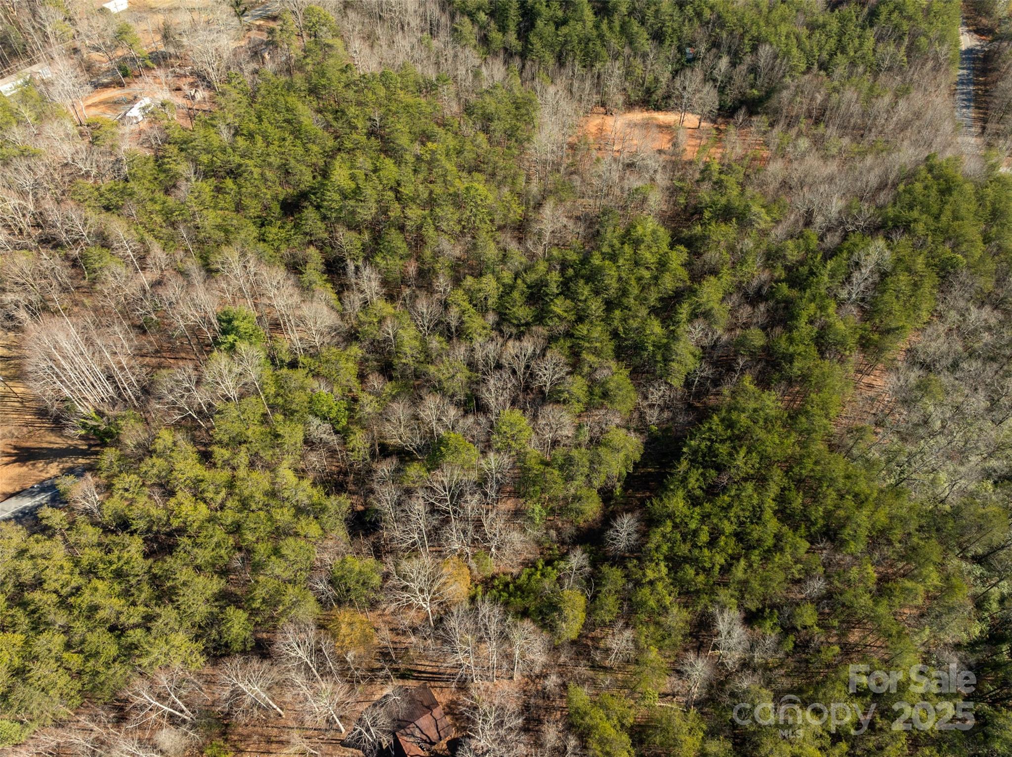 0 Nc 9 Hwy Mill Spring Mill Spring, NC 28756 - Photo 3 of 9 a view of a yard