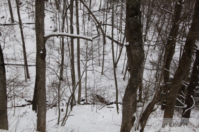 224 Hidden Ridge Road Deep Gap, NC 28618 - Photo 41 of 46 Gallery Image 41