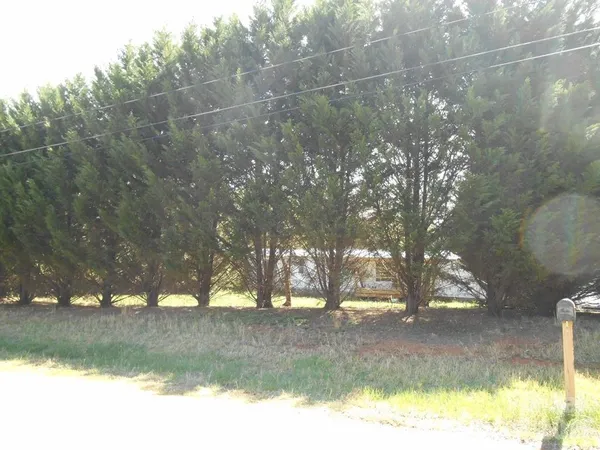 a view of a yard with a tree