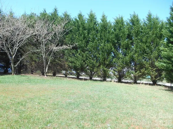 a view of a field with trees in the background
