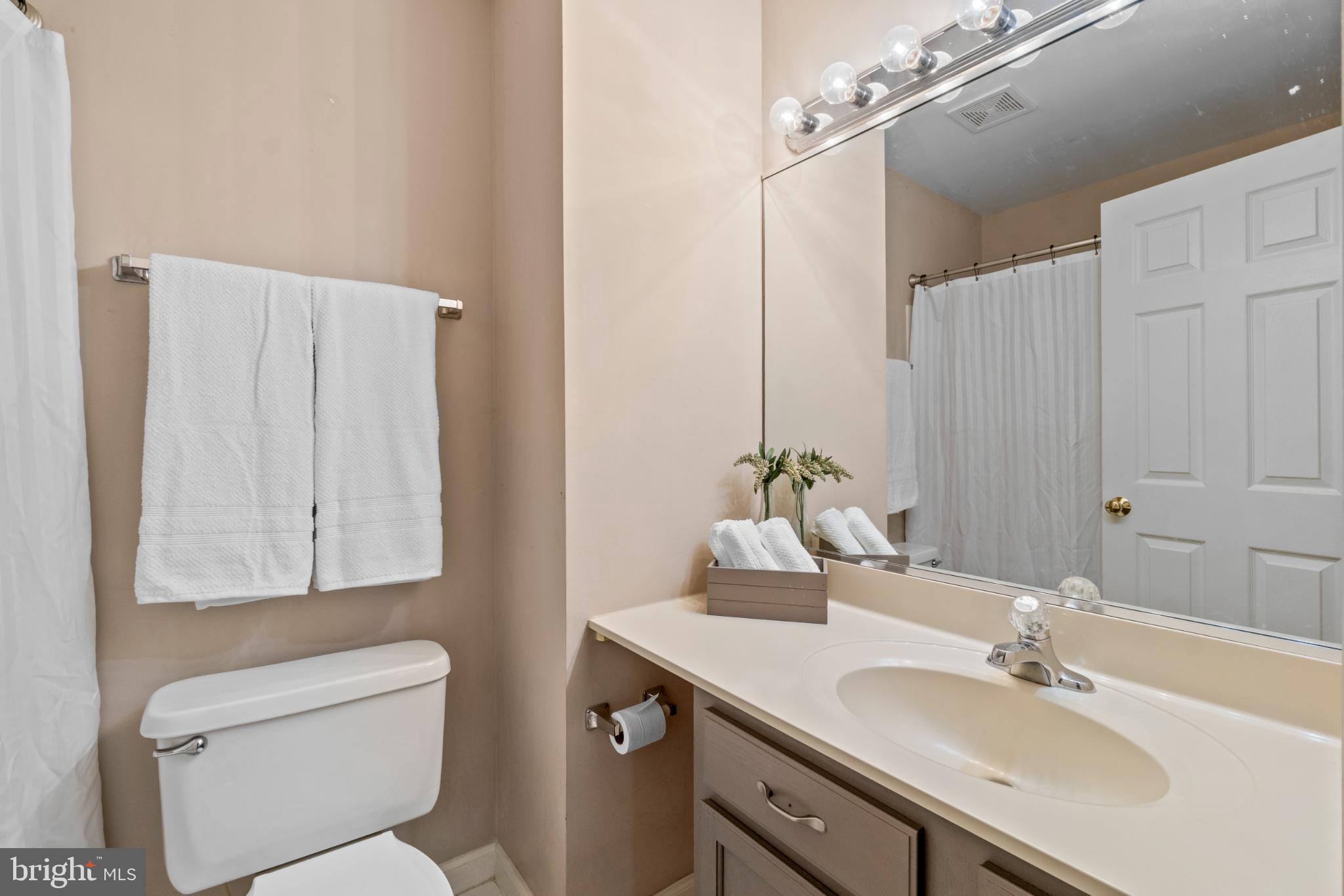 146 English Run Circle Sparks, MD 21152 - Photo 21 of 37 Serene bathroom with modern touches.