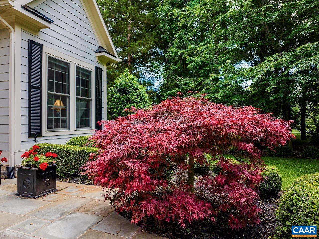 2084 Piper Way Keswick, VA 22947 - Photo 4 of 50