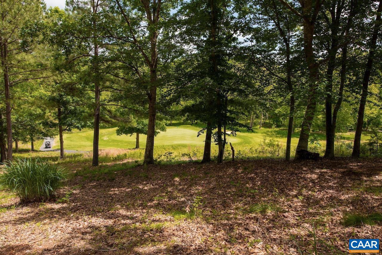 2084 Piper Way Keswick, VA 22947 - Photo 49 of 50