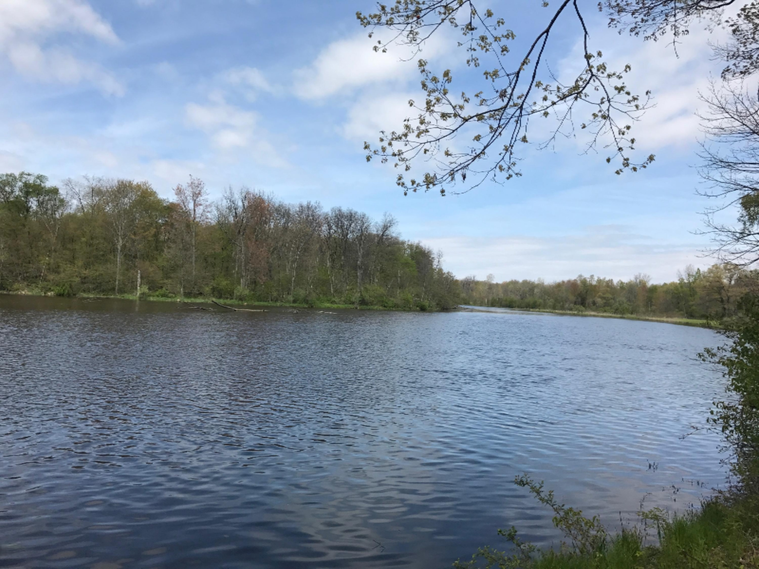 10902 Heether Road Belding, MI 48809 - Photo 3 of 5 B3F705EB-1E77-4CAA-BF05-EF8CA8E84020