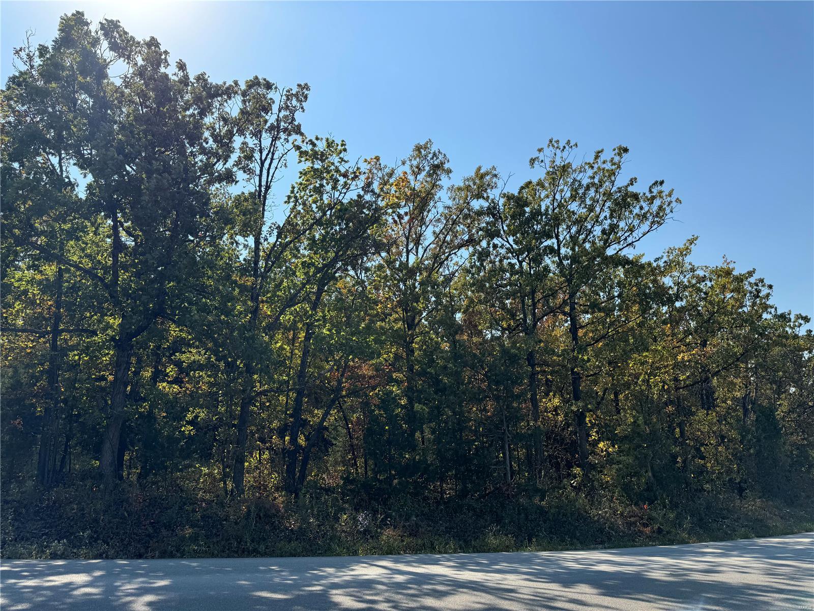 0 Crest Road Dixon, MO 65459 - Photo 11 of 17