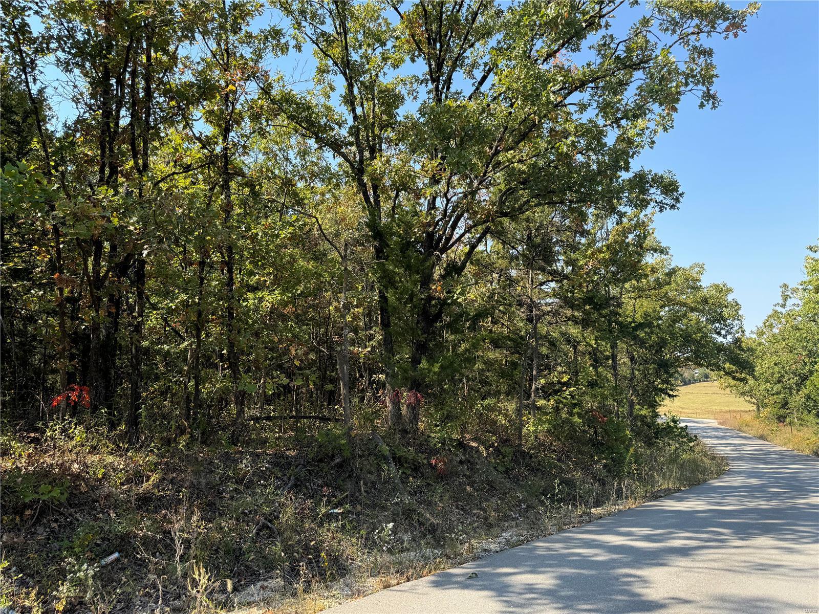 0 Crest Road Dixon, MO 65459 - Photo 12 of 17