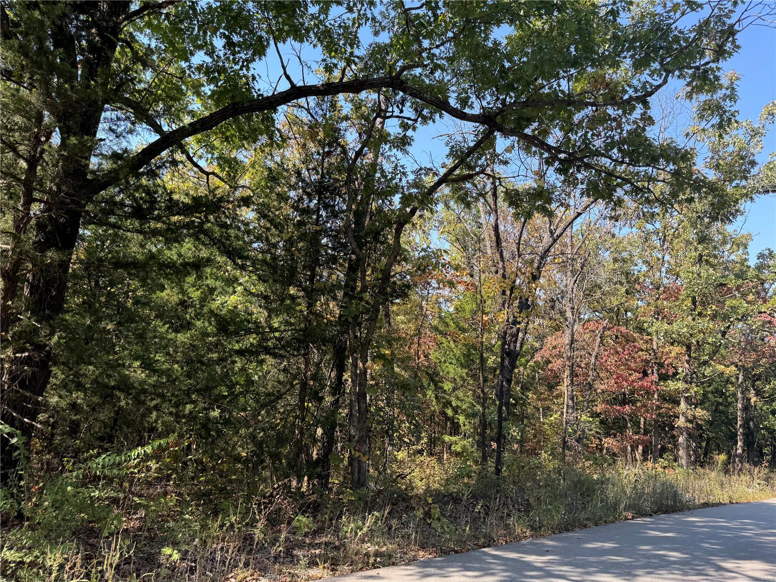 0 Crest Road Dixon, MO 65459 - Photo 13 of 17