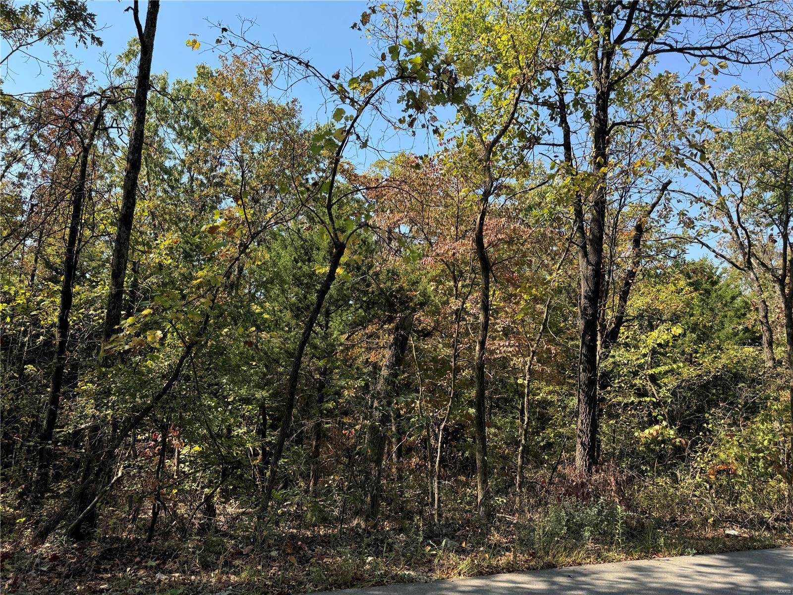 0 Crest Road Dixon, MO 65459 - Photo 14 of 17