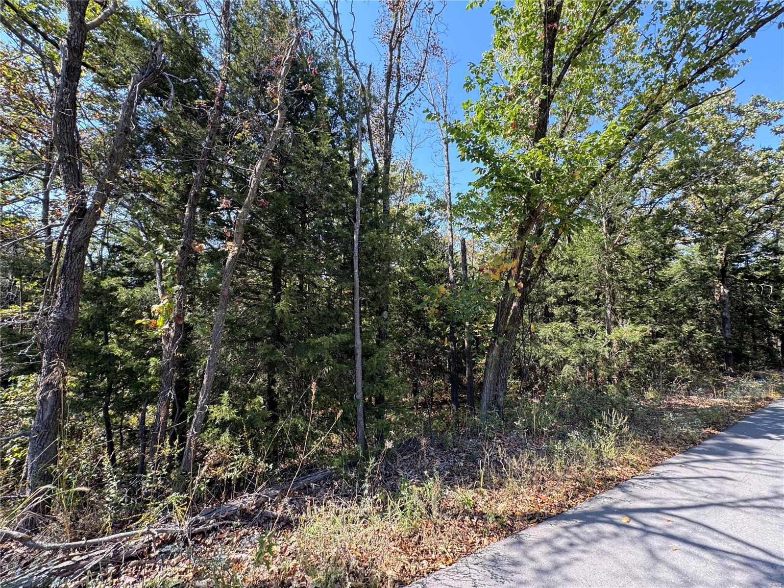 0 Crest Road Dixon, MO 65459 - Photo 16 of 17