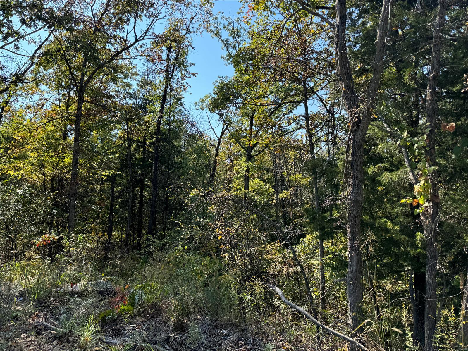 0 Crest Road Dixon, MO 65459 - Photo 17 of 17