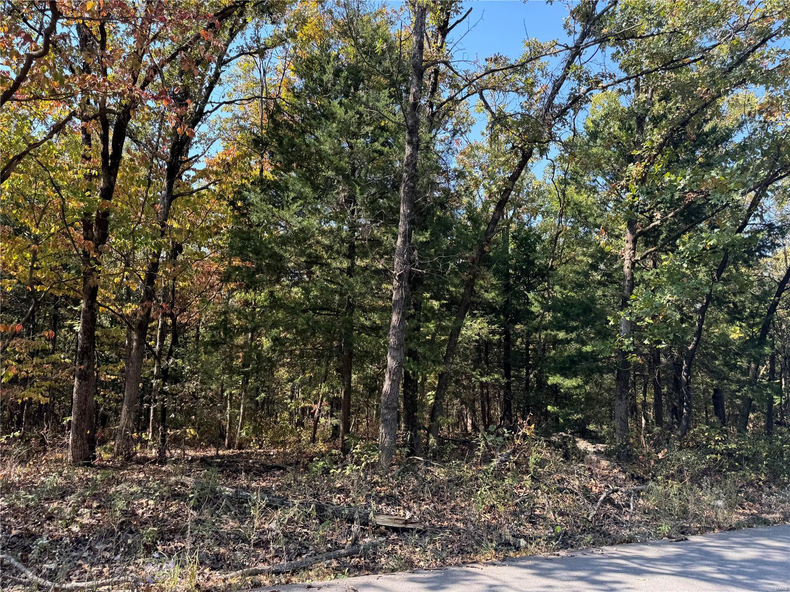 0 Crest Road Dixon, MO 65459 - Photo 2 of 17