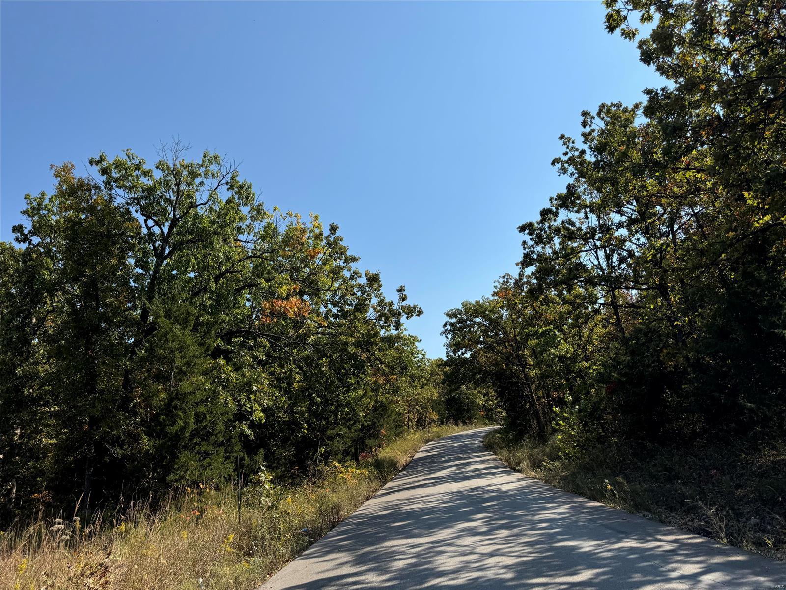 0 Crest Road Dixon, MO 65459 - Photo 9 of 17