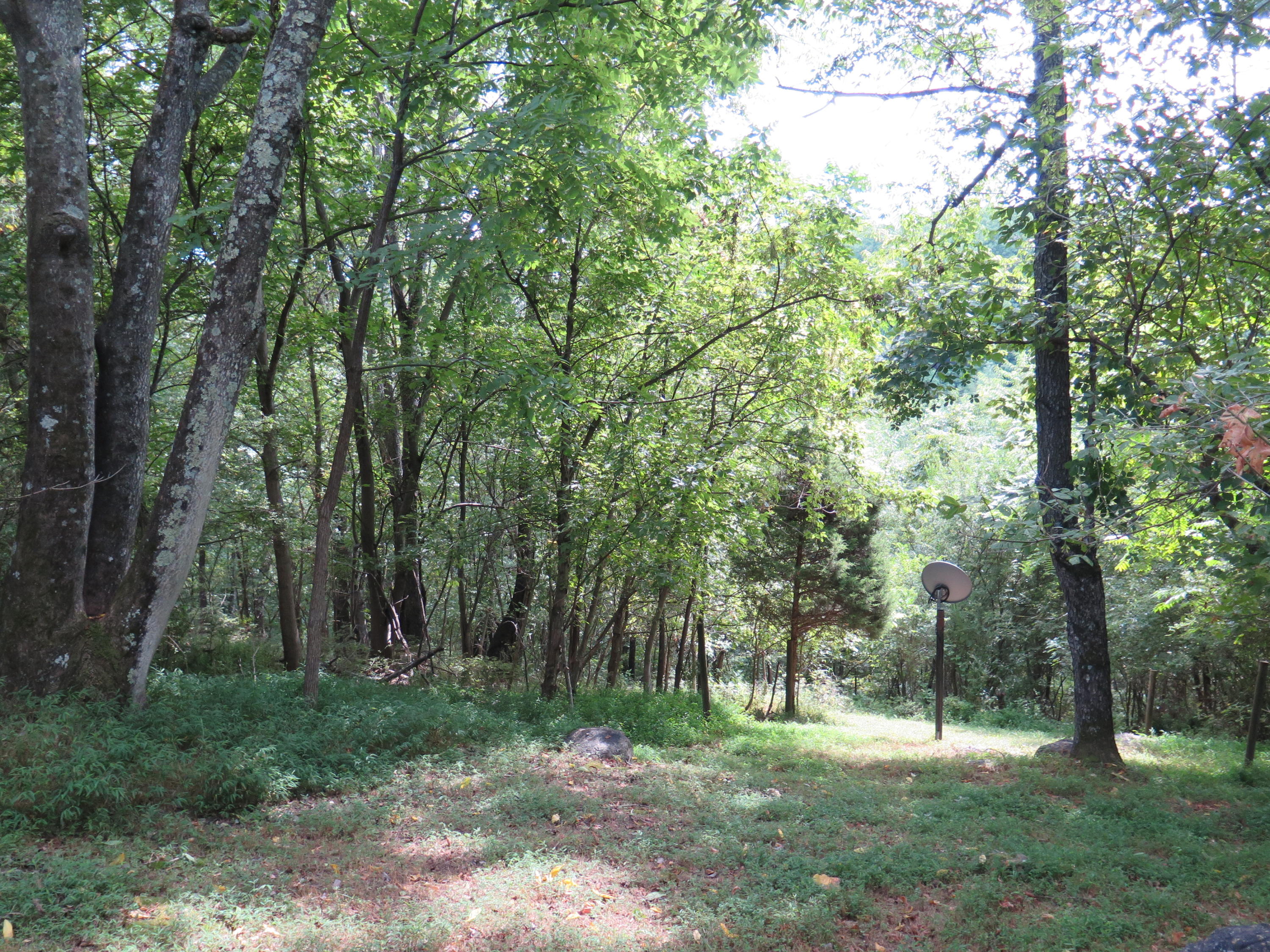 2315 Rutrough Road Southeast Roanoke, VA 24014 - Photo 23 of 38 a big yard with lots of green space and trees
