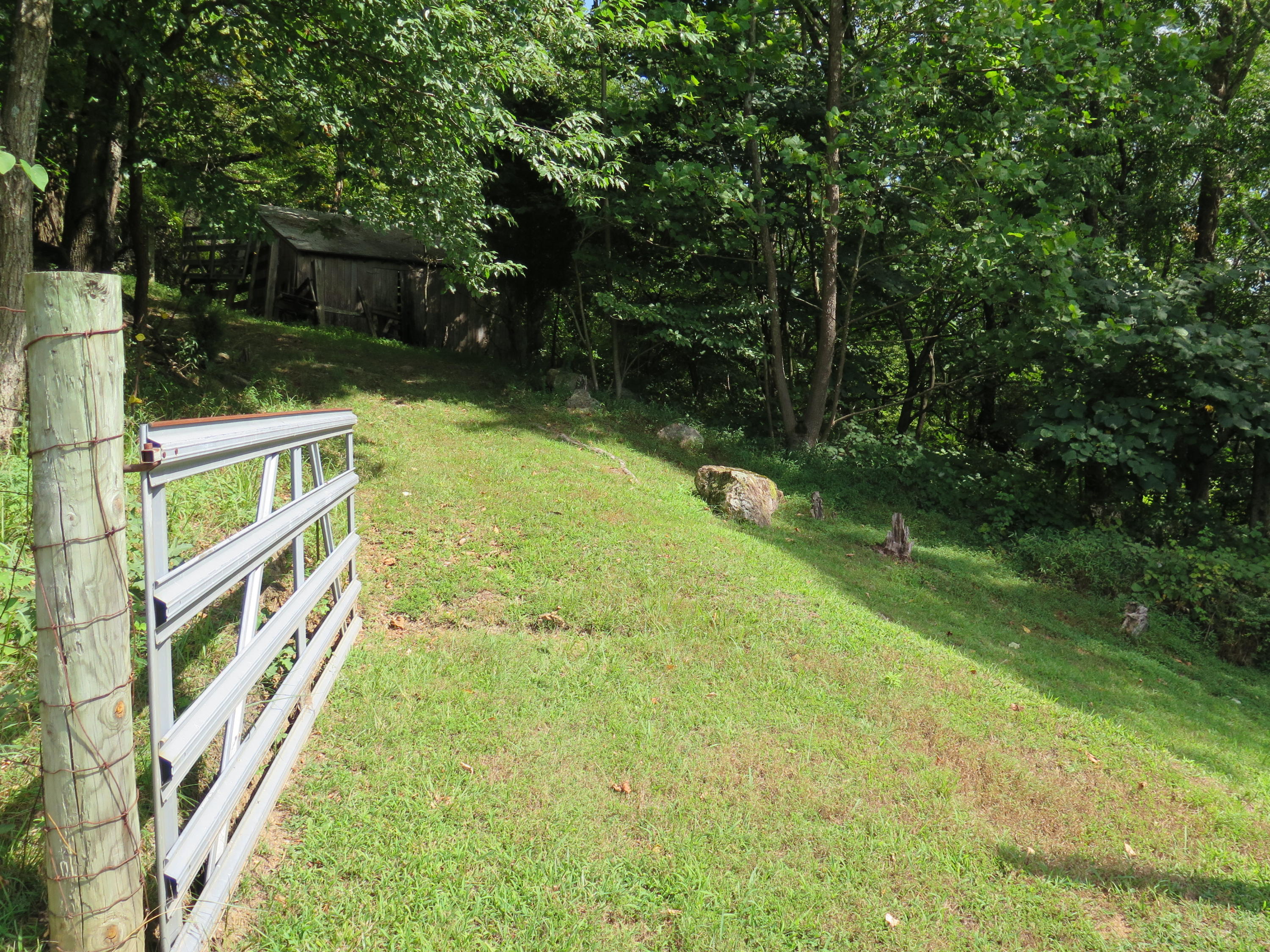 2315 Rutrough Road Southeast Roanoke, VA 24014 - Photo 30 of 38 a backyard of a house with lots of green space