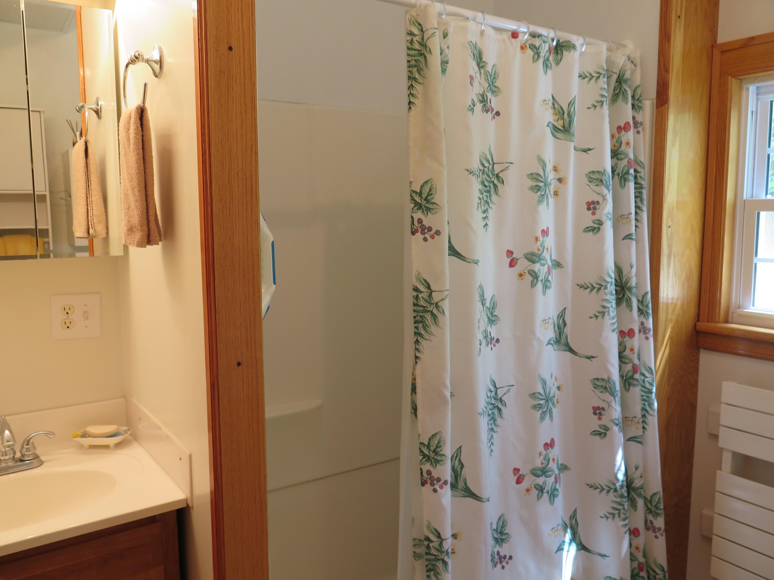 2315 Rutrough Road Southeast Roanoke, VA 24014 - Photo 8 of 38 a bathroom with a shower curtain and a sink