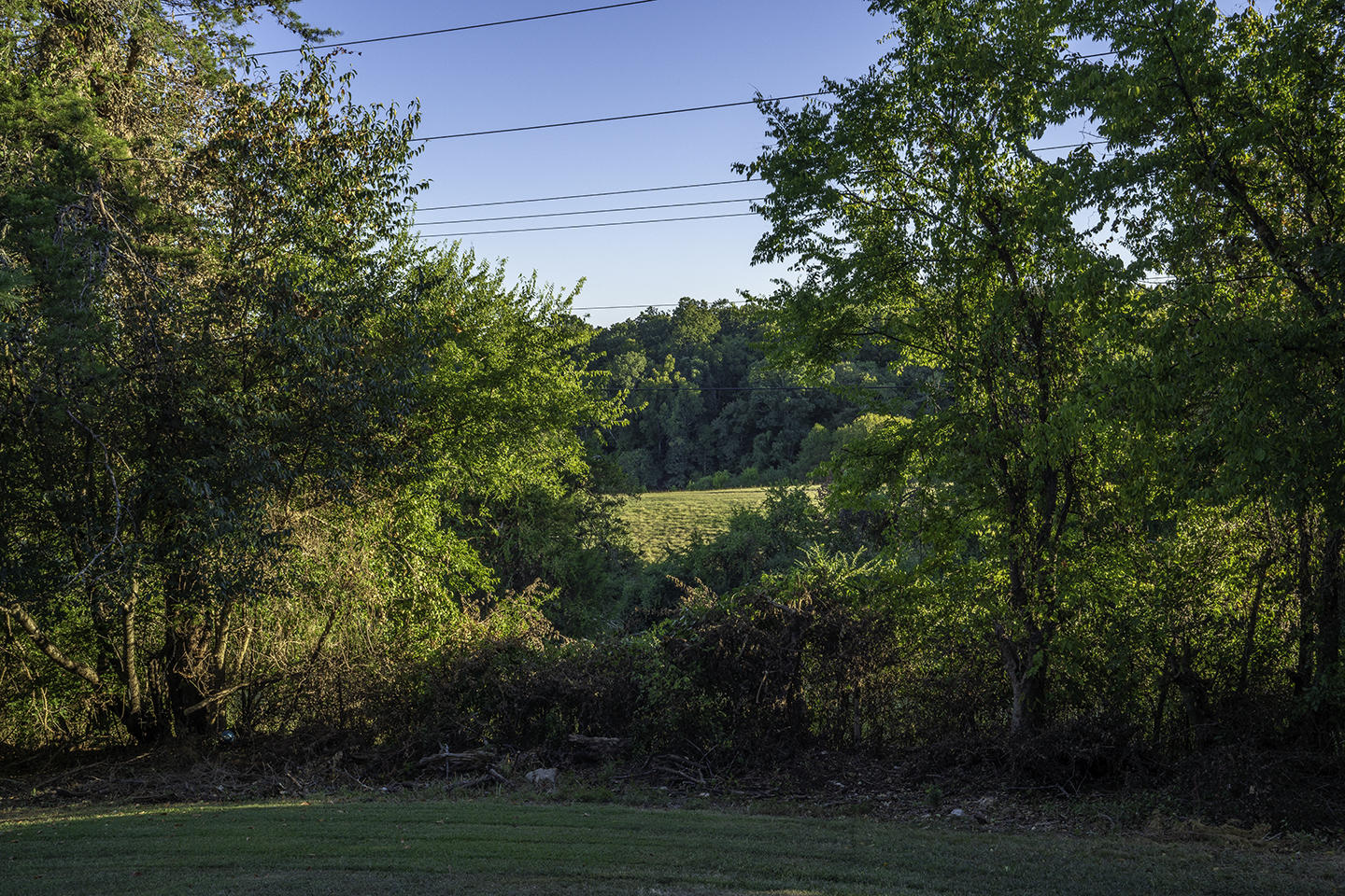 1810 River Chase Road Hixson, TN 37343 - Photo 10 of 55 Back Yard View 2