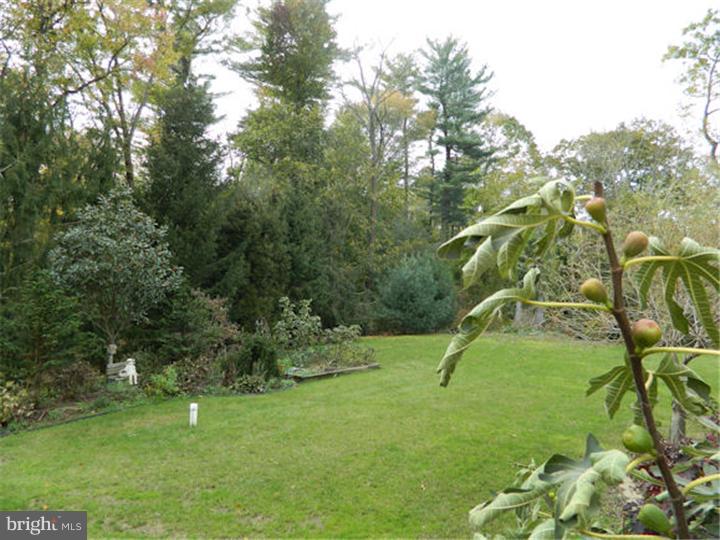 106 White Pine Road Chesterfield, NJ 08515 - Photo 23 of 24 Back Yard