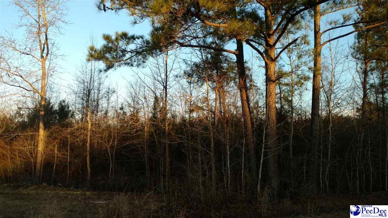 0 High Hill Road Darlington, SC 29532 - Photo 1 of 1 Gallery Image 1